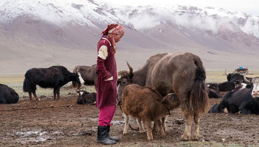 As Russian economy sputters, UK lures Central Asian labour migrants