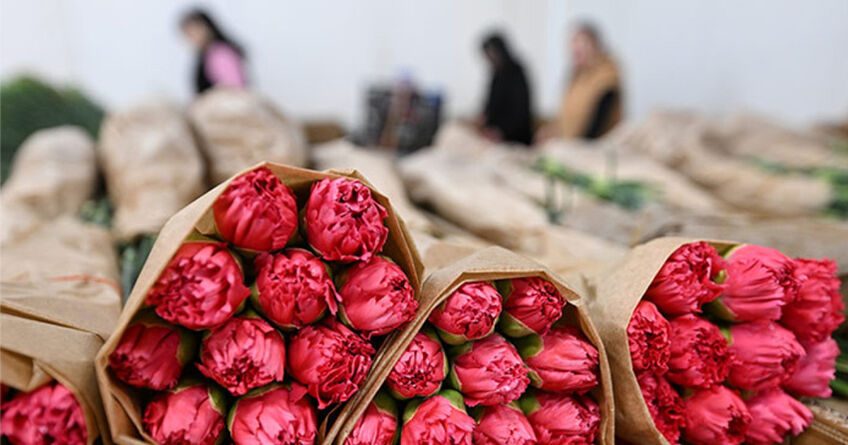 Kyrgyzstan exports 17 tons of flowers in two months