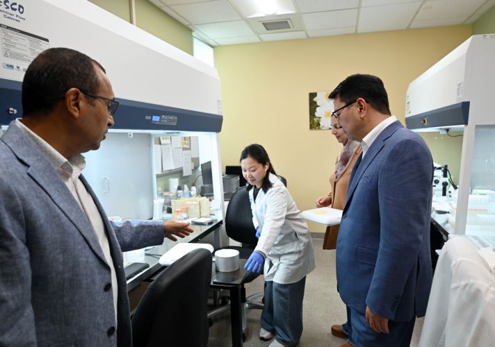 Kyrgyzstan to import high-quality strawberry planting material from California